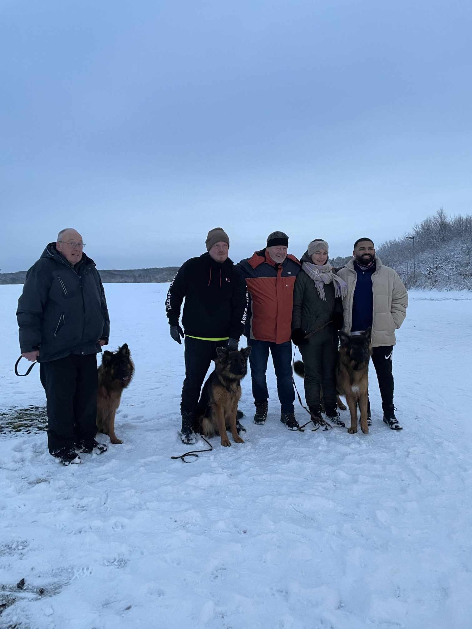 Wesensbeurteilung kr.23 Slagelse 03 dec.